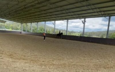 Tips for improving contact with the horse during trot work