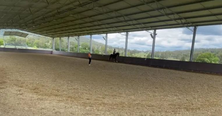 Tips for improving contact with the horse during trot work