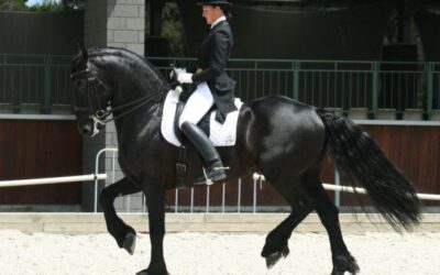 Mastering Dressage | How to Overcome Riding Fear & Be Confident