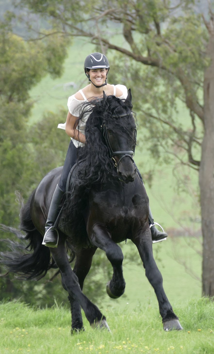 Natasha Althoff cantering her black Friesian Natasha Althoff cantering her black Friesian