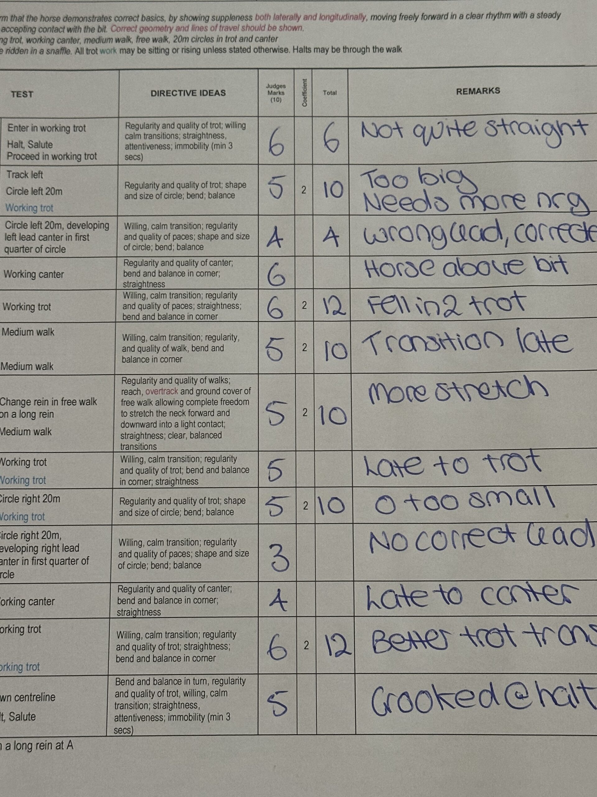A dressage test sheet covered in the judge's handwritten comments