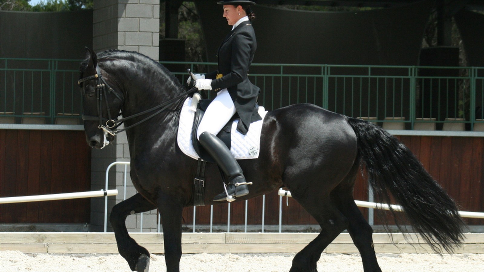Dressage Mastery Academy