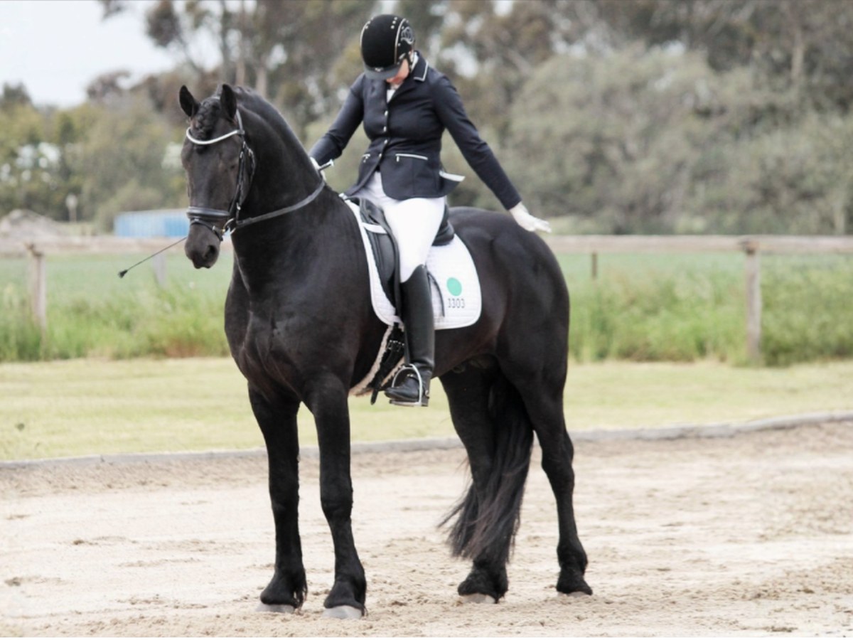 Beginner to Grand Prix