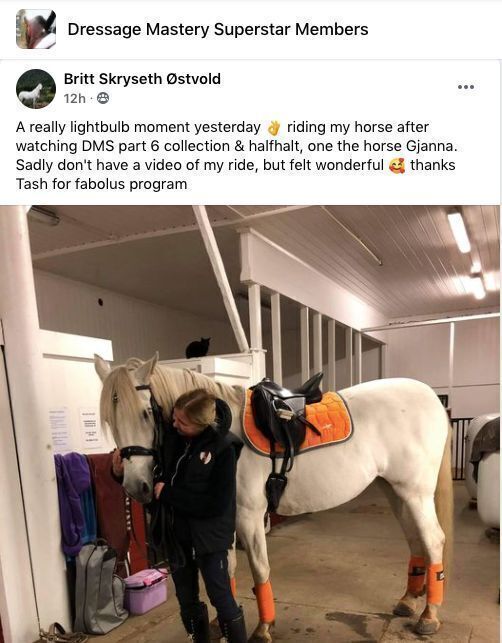 Comment from a Dressage Mastery member