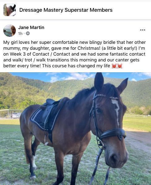 Comment from a Dressage Mastery member