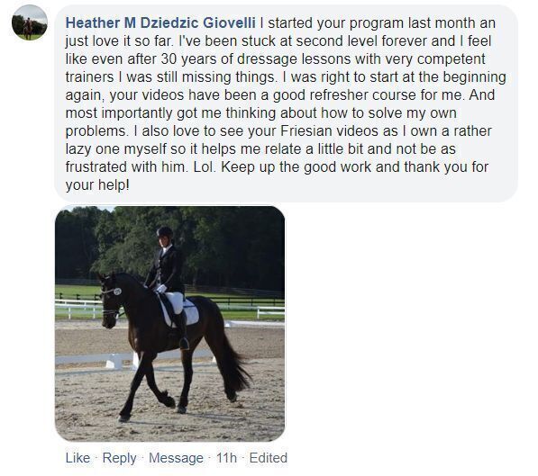 Comment from a Dressage Mastery member