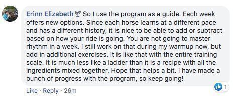 Comment from a Dressage Mastery member