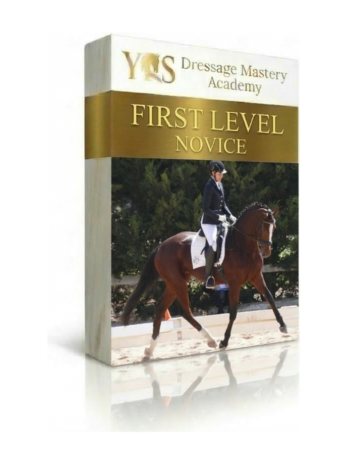 First Level and Novice module