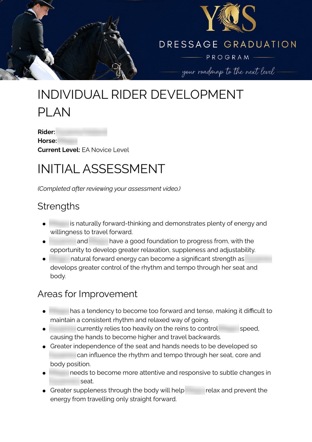 Page one of a real plan: the Initial Assessment, strengths and areas for improvement