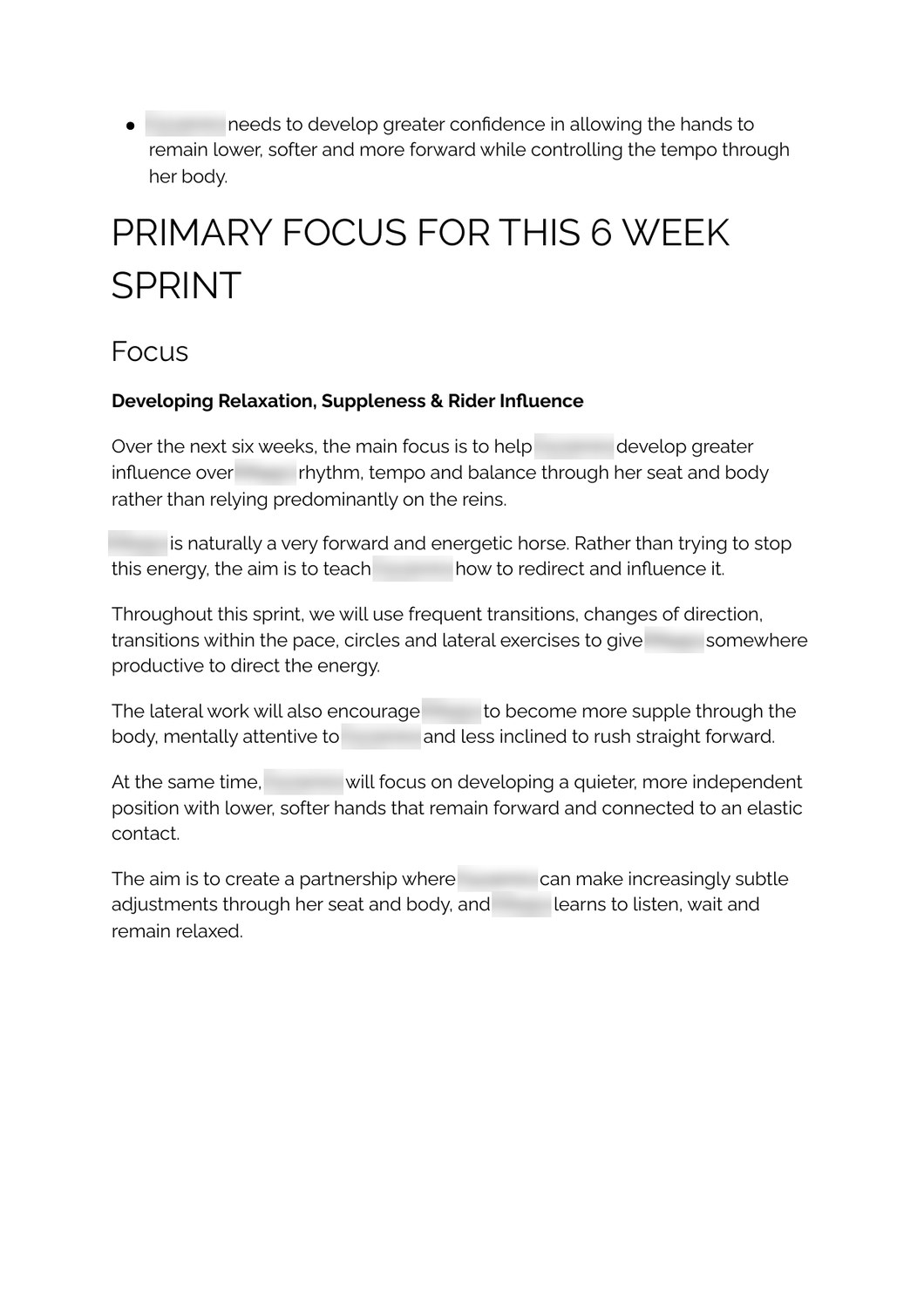 Page two of a real plan: the Primary Focus for the six week sprint