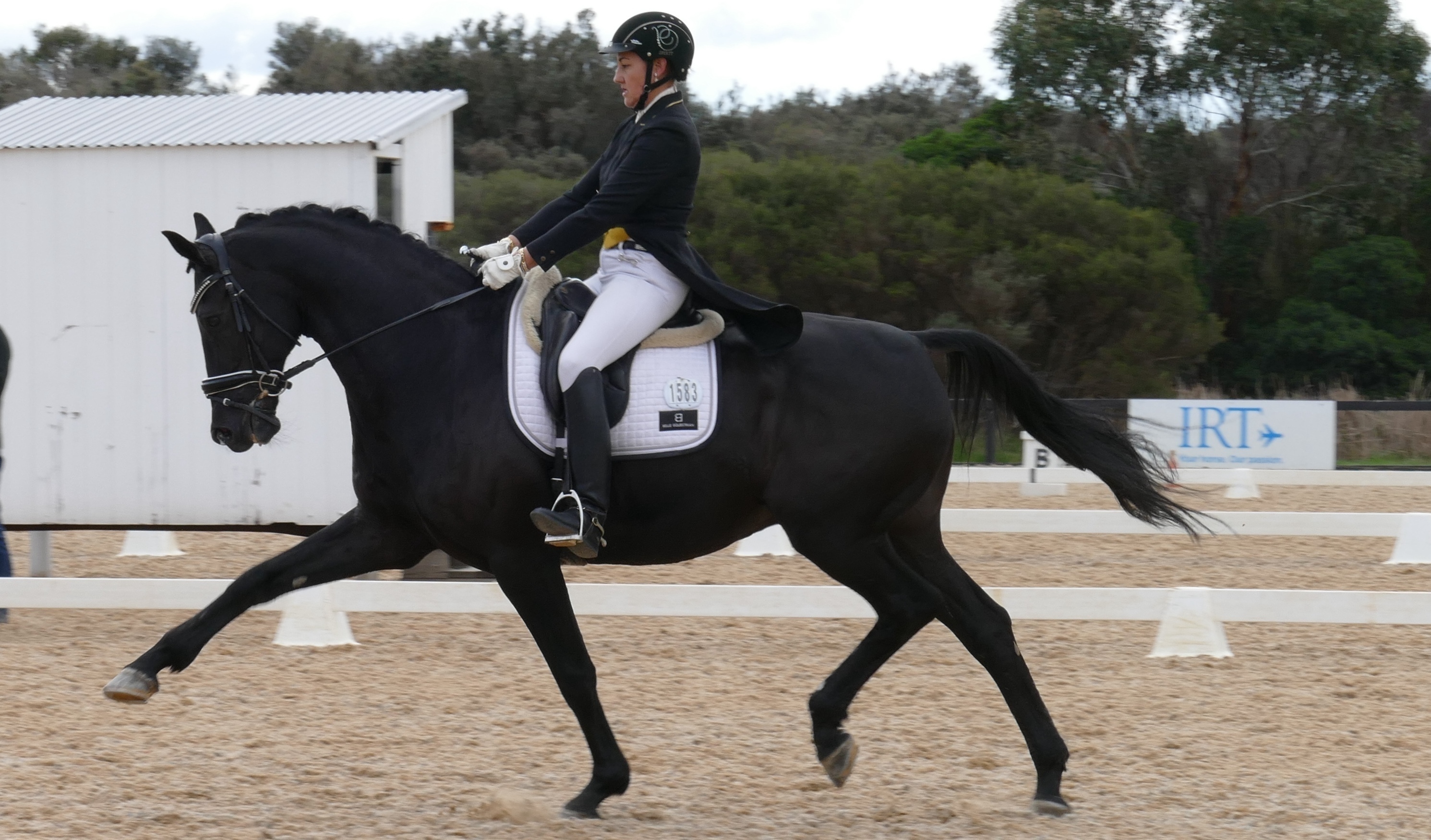 Riding a dressage test