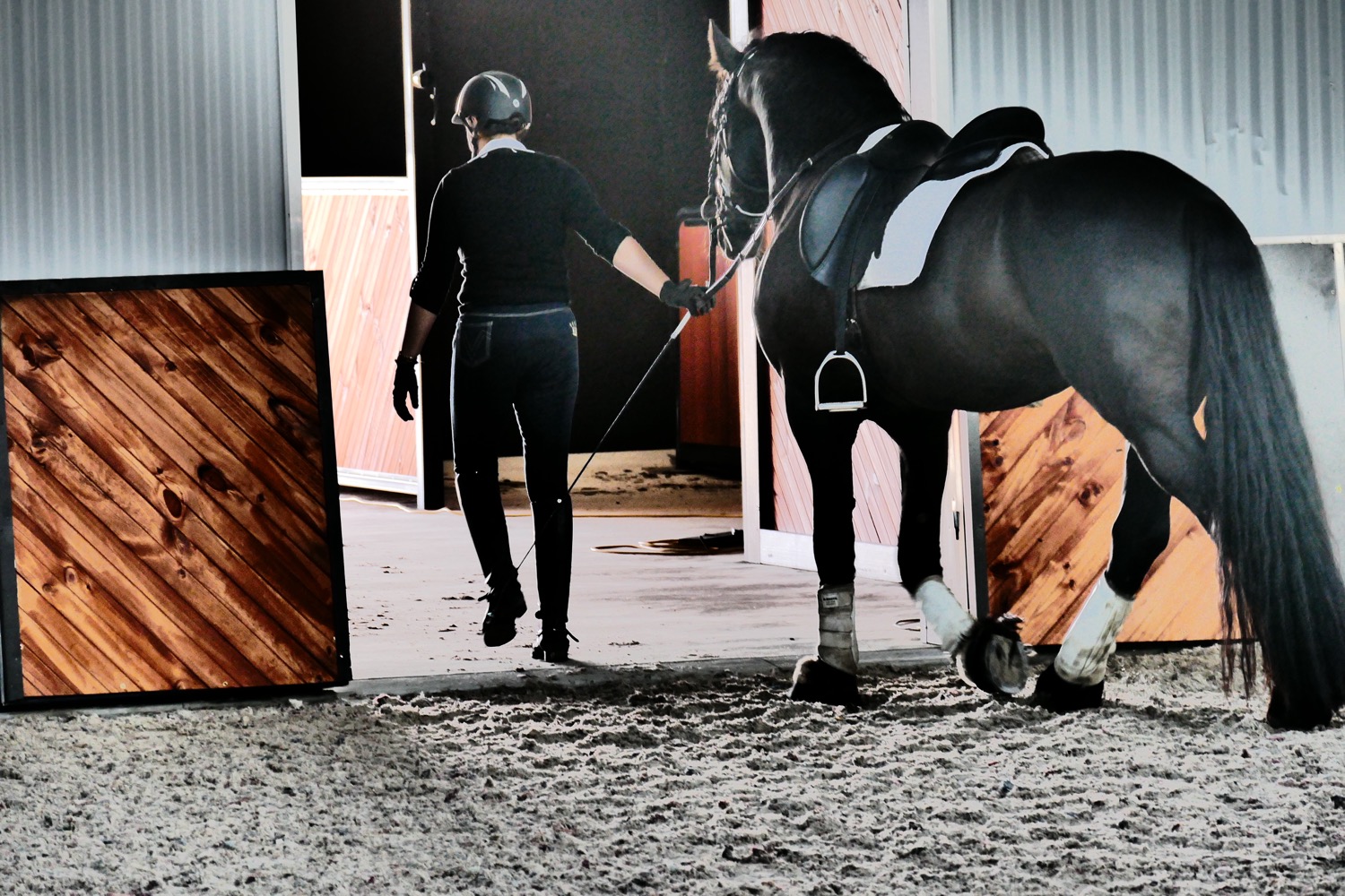 Natasha Althoff leading a horse out of the arena