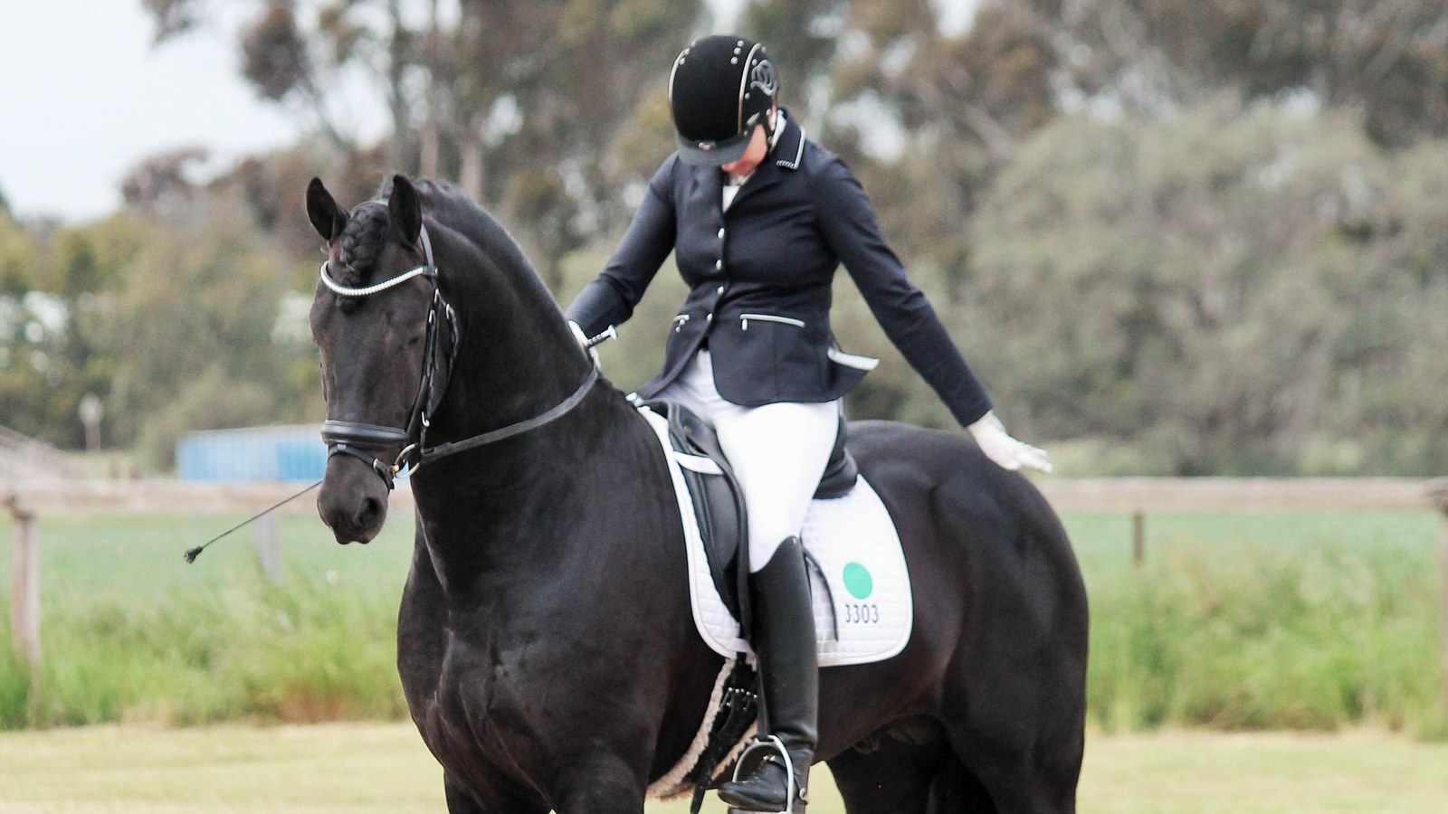Natasha saluting at the end of a test on her Friesian