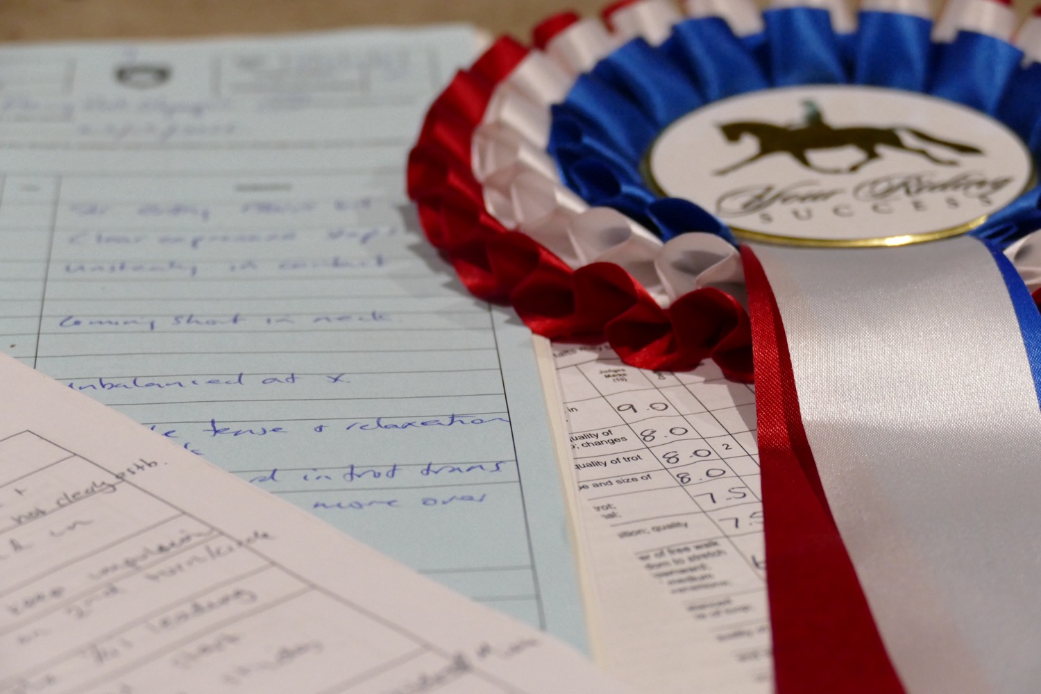 A dressage test sheet showing scores of 9.0, 8.0 and 7.5 beside a rosette