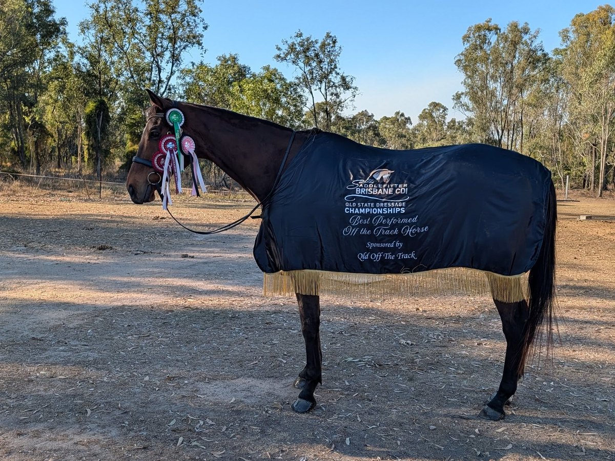 A Riders Lounge member